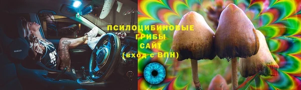 меф Вяземский