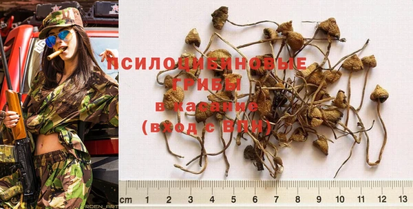 дживик Вязьма