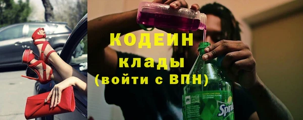 дживик Вязьма
