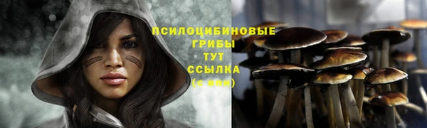 дживик Вязьма