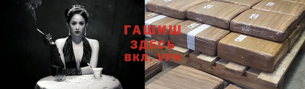 сатива Горняк