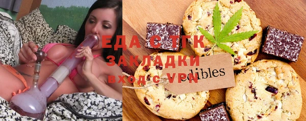 сатива Горняк