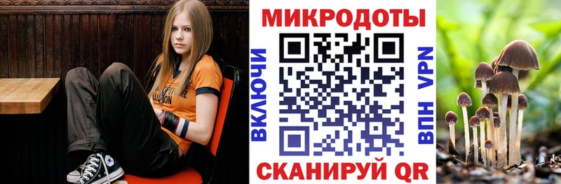 Псилоцибиновые грибы Psilocybe  Купить закладки  Кузнецк 